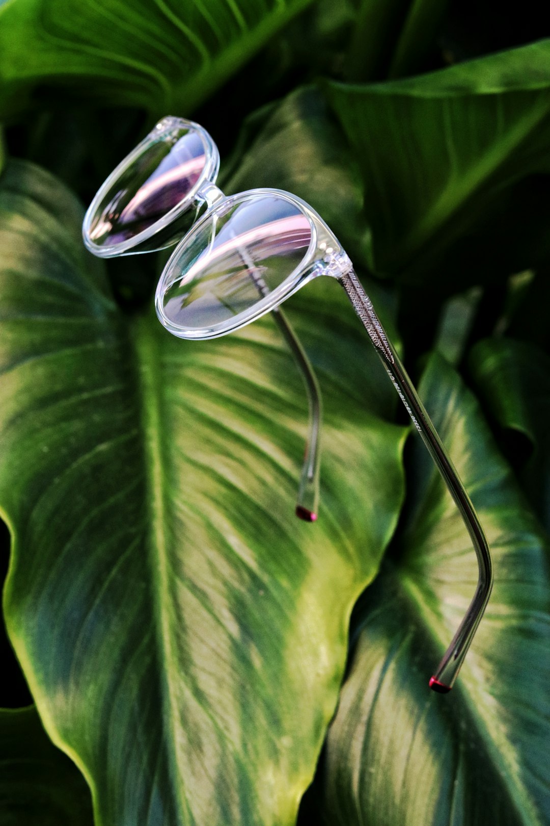 clear-sunglasses-tlwdnrwn-sk